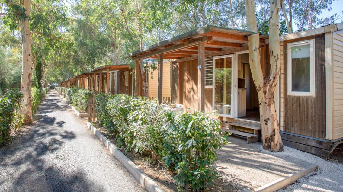 Camping Village Il Gineprino Marina Di Bibbona Exterior foto